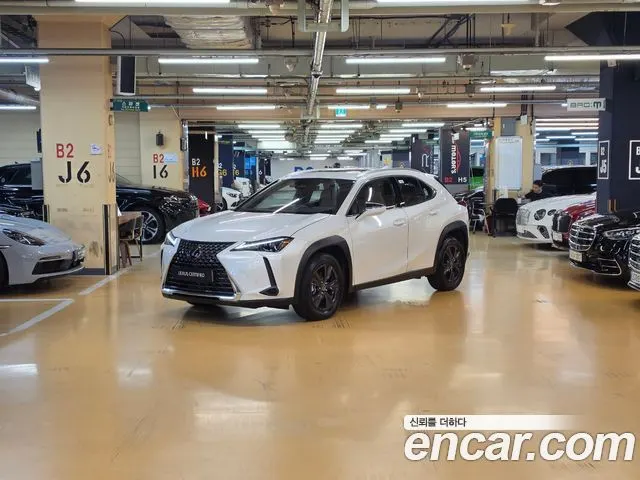 LEXUS UX300H 2026 — 2 597 км, белый, Корея — под ключ — фото 12