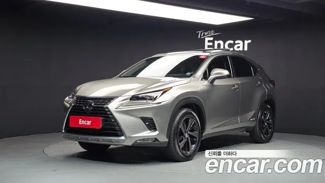 LEXUS NX300H 2019 — 197 202 км, светло-золотистый, Корея — под ключ — фото 1