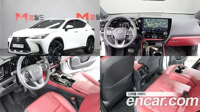 LEXUS NX350H 2025 — 4 931 км, белый, Корея — под ключ — фото 12