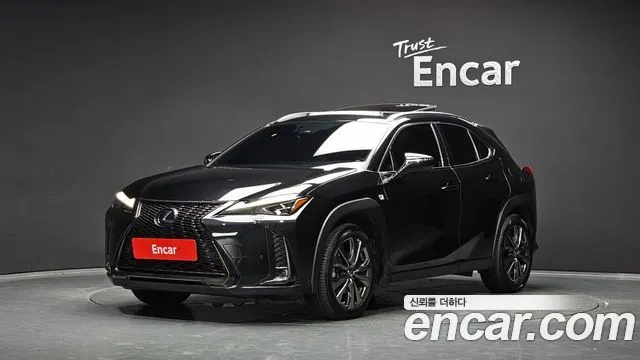 LEXUS UX250H 2020