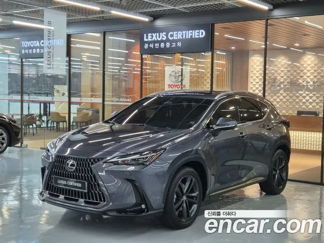 LEXUS NX350H 2025 — 46 870 км, серый, Корея — под ключ — фото 11