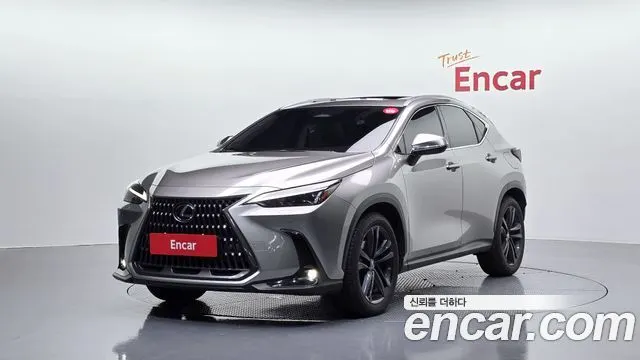 LEXUS NX350H 2024 — 35 916 км, светло-золотистый, Корея — под ключ — фото 1
