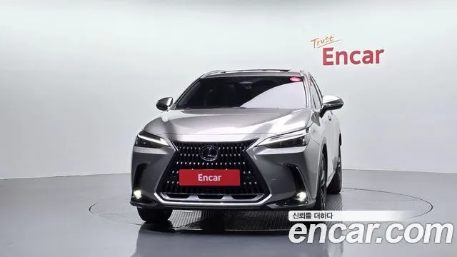 LEXUS NX350H 2024 — 35 916 км, светло-золотистый, Корея — под ключ — фото 3