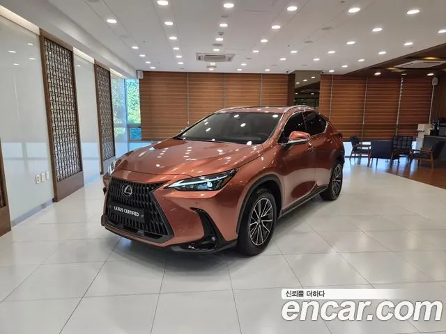 LEXUS NX450H+ 2025 — 5 200 км, оранжевый, Корея — под ключ — фото 12