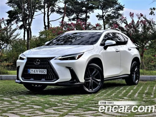 LEXUS NX350H — из Кореи под ключ