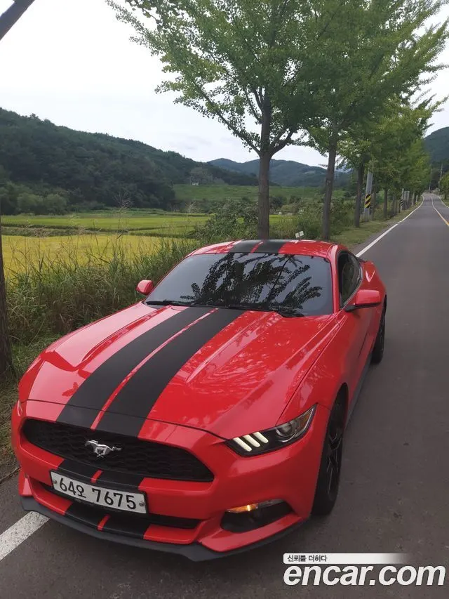 FORD MUSTANG — из Кореи под ключ