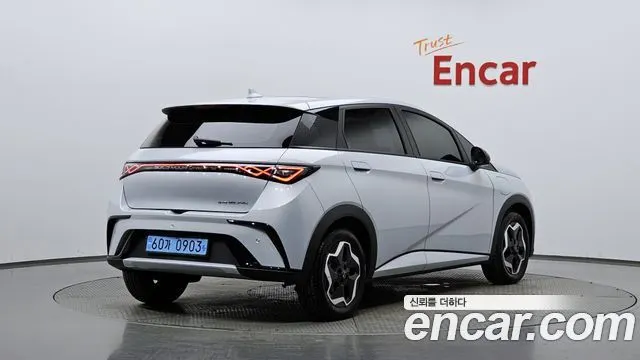 BYD DOLPHIN — из Кореи под ключ