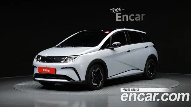BYD DOLPHIN — из Кореи под ключ