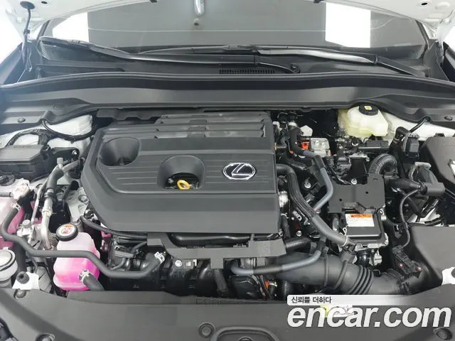 LEXUS UX300H 2027 — 885 км, белый-перламутр, Корея — под ключ — фото 6