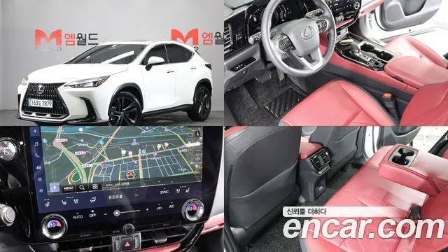 LEXUS NX350H — из Кореи под ключ
