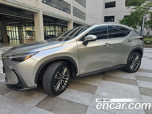 LEXUS NX350H 2025