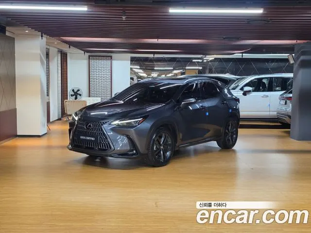 LEXUS NX350H 2025