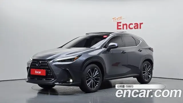 LEXUS NX350H 2025