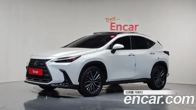 LEXUS NX350H 2025