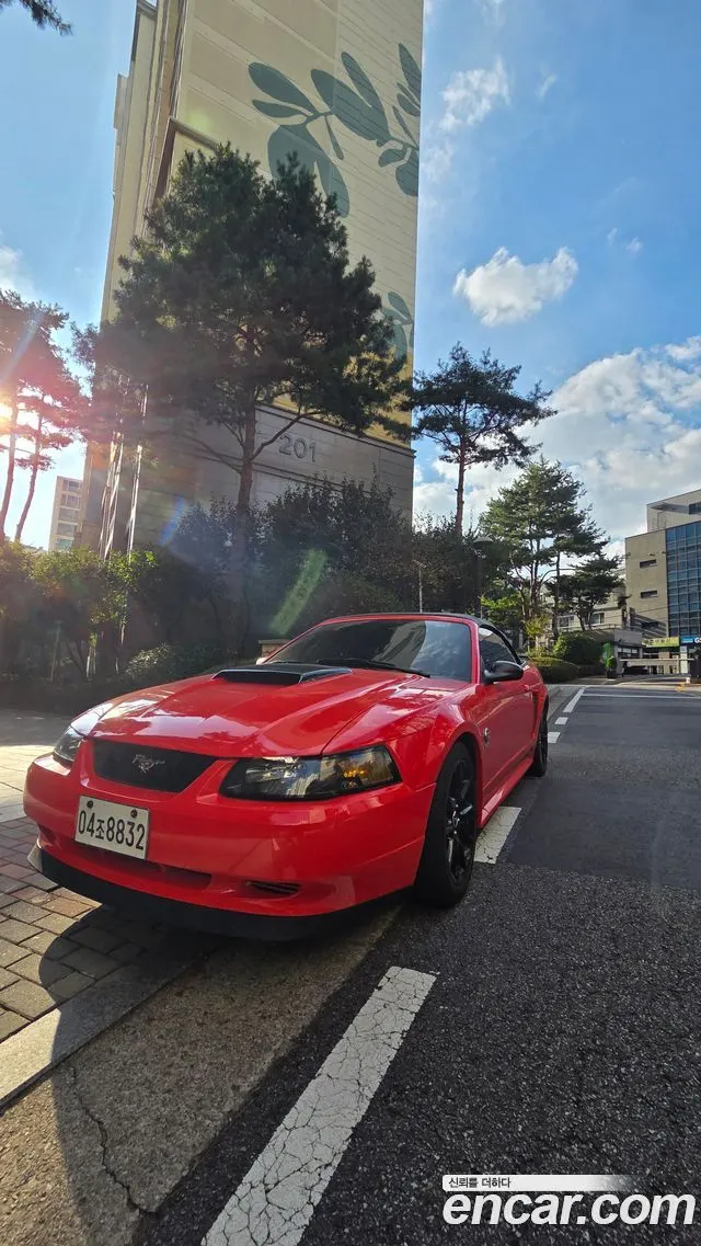 FORD MUSTANG — из Кореи под ключ
