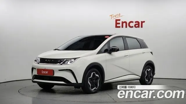 BYD DOLPHIN — из Кореи под ключ